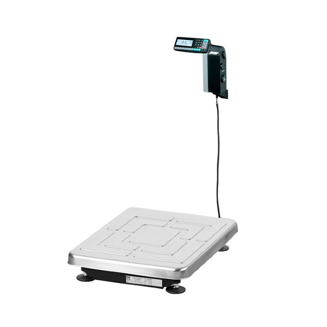 Весы ТВ-S-200.2-RL1 в Сыктывкаре