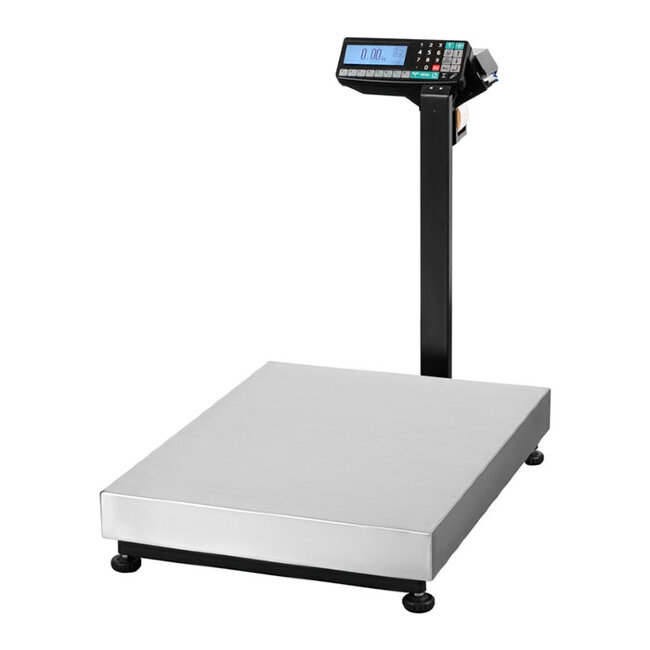 Весы ТВ-М-150.2-RP3 в Сыктывкаре
