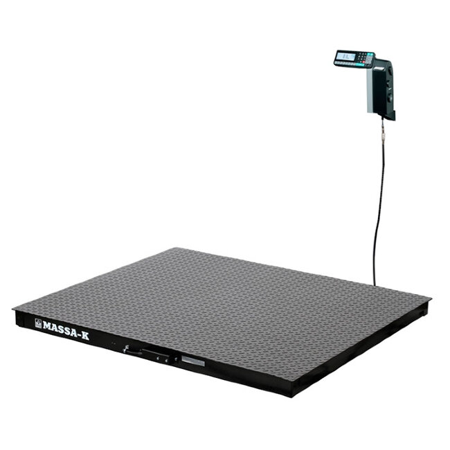 Весы 4D-PM-12/10-1000-RL в Сыктывкаре