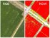 Квадрокоптер DJI Phantom 4 Multispectral + Мобильная станция D-RTK 2 High Precision GNSS в Сыктывкаре
