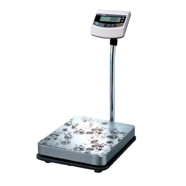 Весы BW-150RB в Сыктывкаре