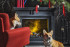 Портал Dimplex Coventry Graphite Grey - Серый графит в Сыктывкаре