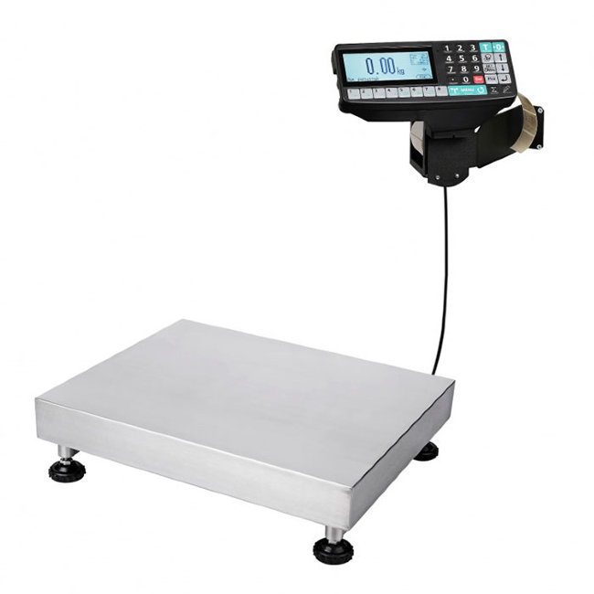 Весы ТВ-5040N-200.2-RP1 в Сыктывкаре