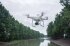Сельскохозяйственный квадрокоптер DJI Phantom 4 мультиспектральный в Сыктывкаре