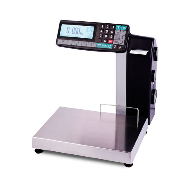 Весы МК-6.2-RL10-1 в Сыктывкаре